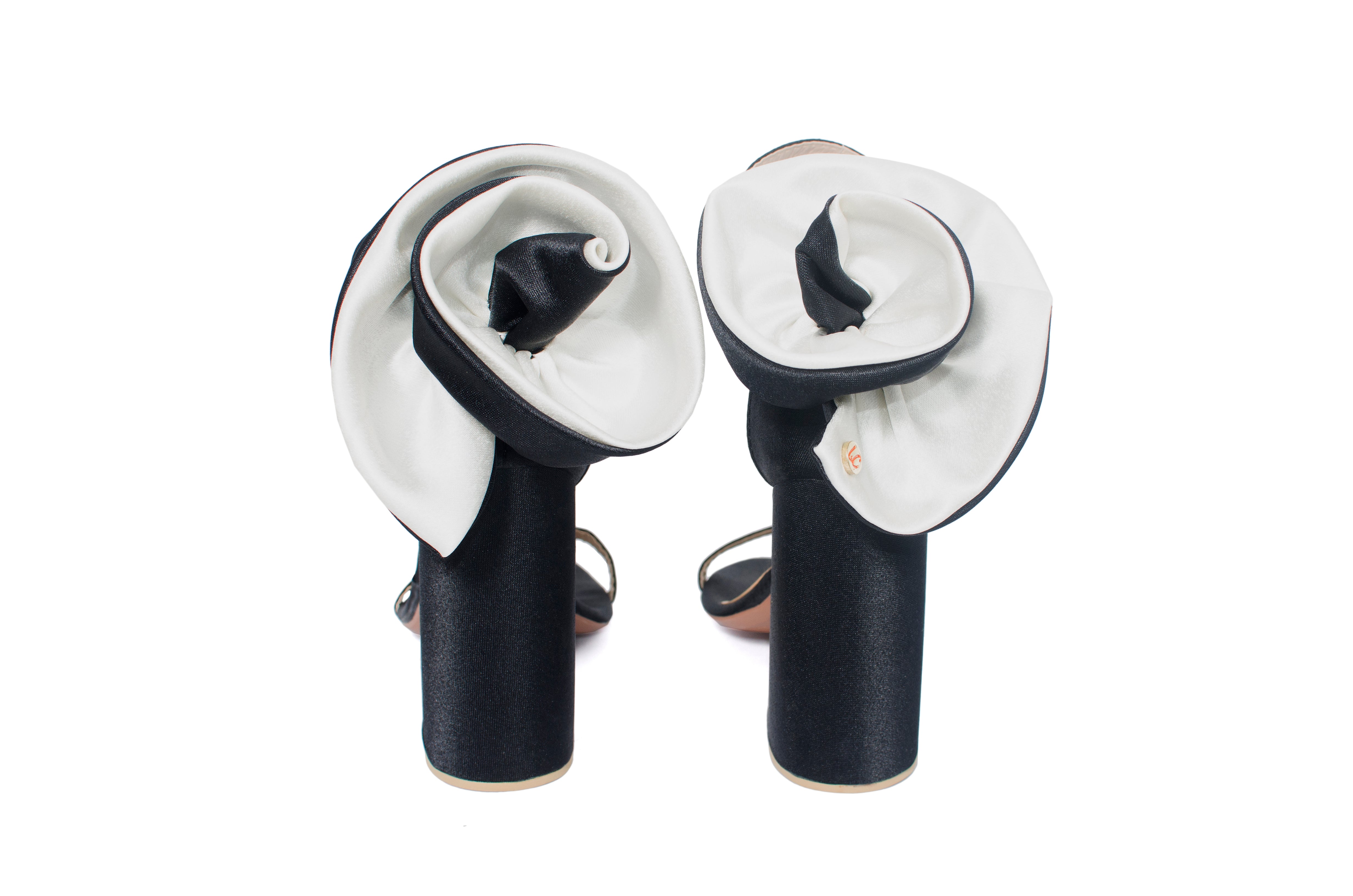 Crisantemo Black