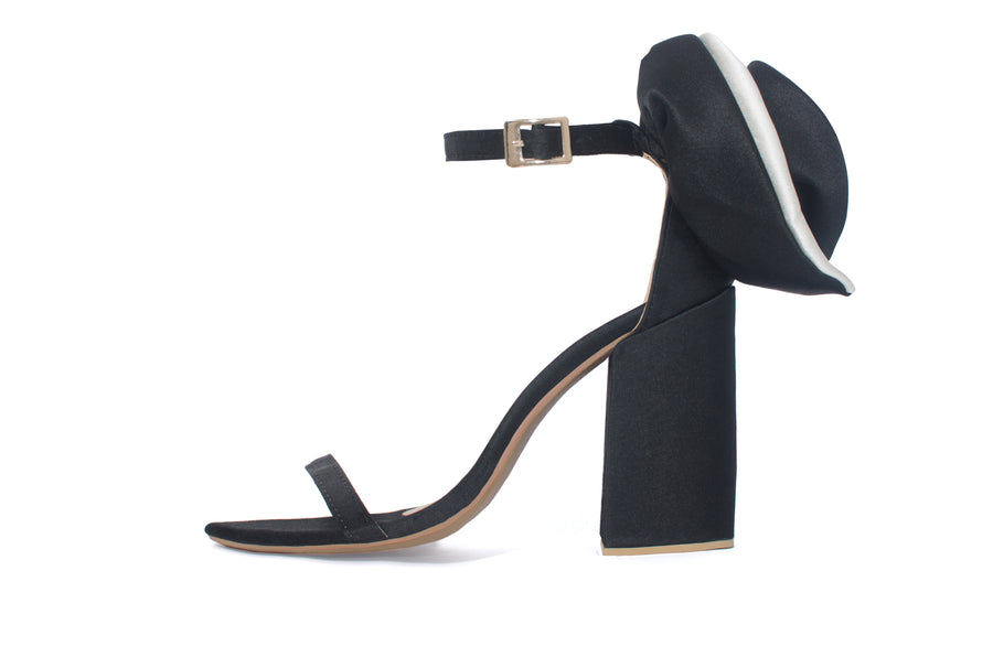 Crisantemo Black